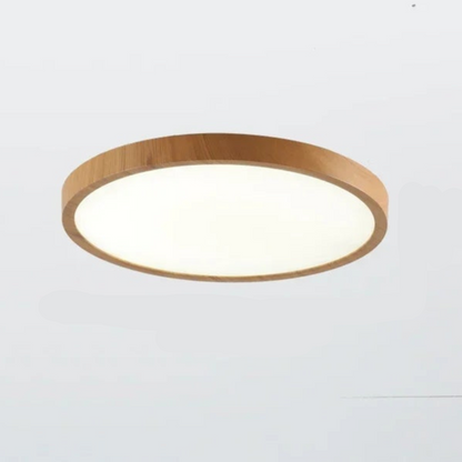 Stylish Round LED Ceiling Light Adjustable Brightness