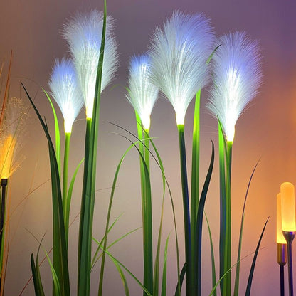 Bright Solar Powered Garden Lights