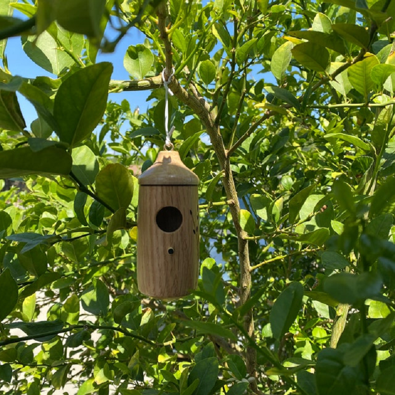 Natural Wood Birdhouse for Outdoor Gardens
