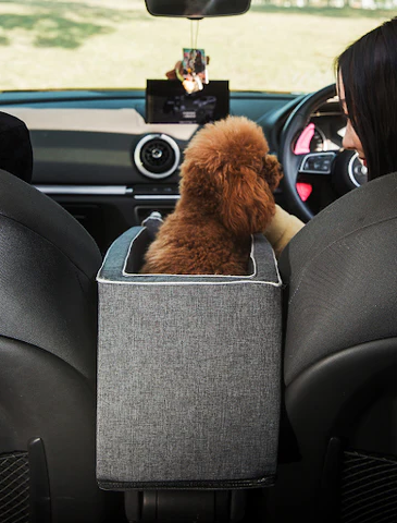 Cozy Pet Car Booster Seat Travel Bag