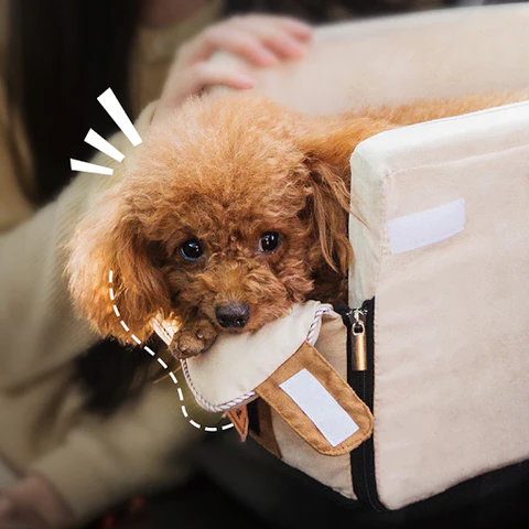 Cozy Pet Car Booster Seat Travel Bag