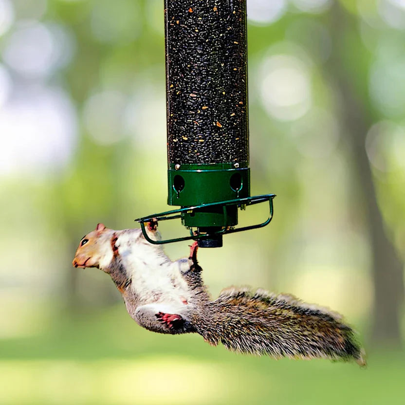 Squirrel Proof Bird Feeder with Weight Activated Protection - Halri