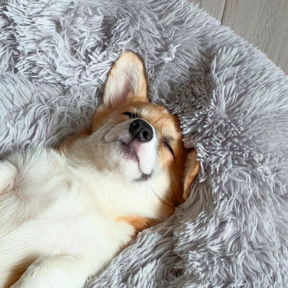 Comfortable Pet Sleeping Bed
