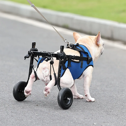 Pet Wheelchair for Dogs with Weak Back Legs Support