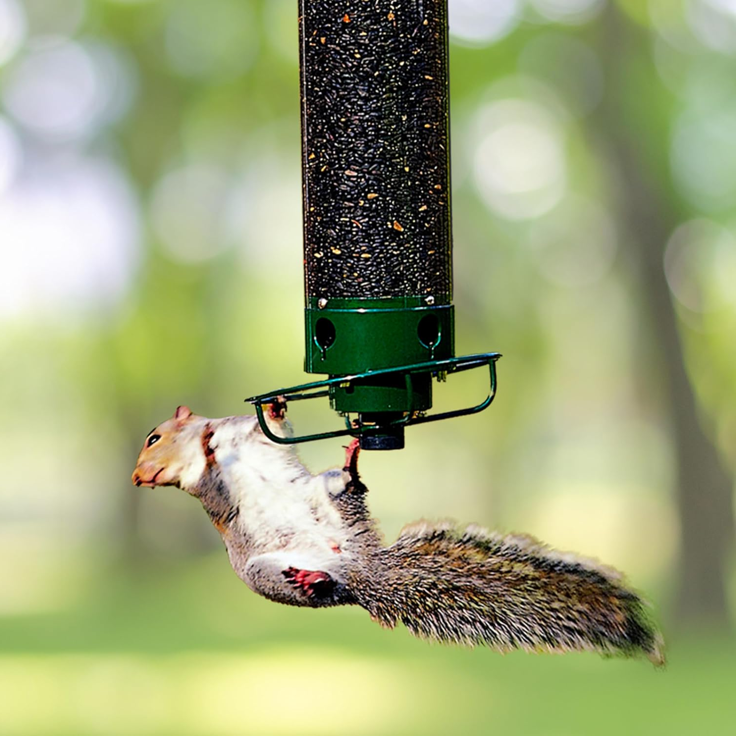 Weatherproof Bird Feeder with Multiple Feeding Ports - Halri