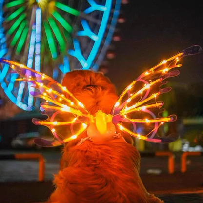 Bright LED Fairy Wing Costume for Kids and Adults