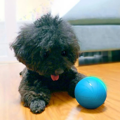 Fun Interactive Pet Ball Toy - Halri