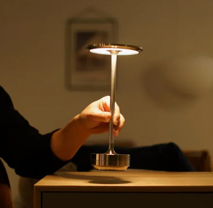 Portable LED Desk Light