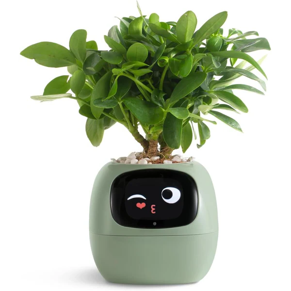 Intelligent Self Watering Planter Pot