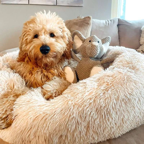 Comfortable Pet Sleeping Bed