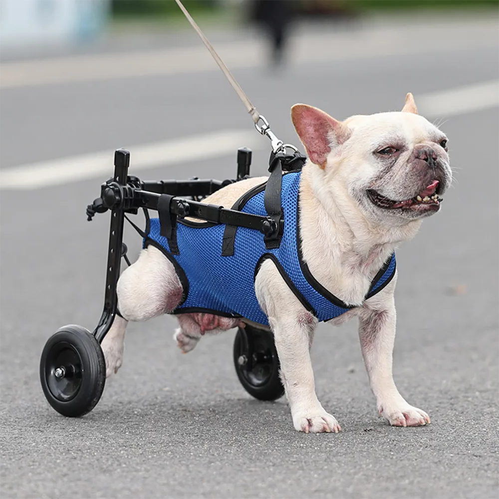 Pet Wheelchair for Dogs with Weak Back Legs Support - Halri