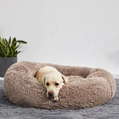Comfortable Pet Sleeping Bed