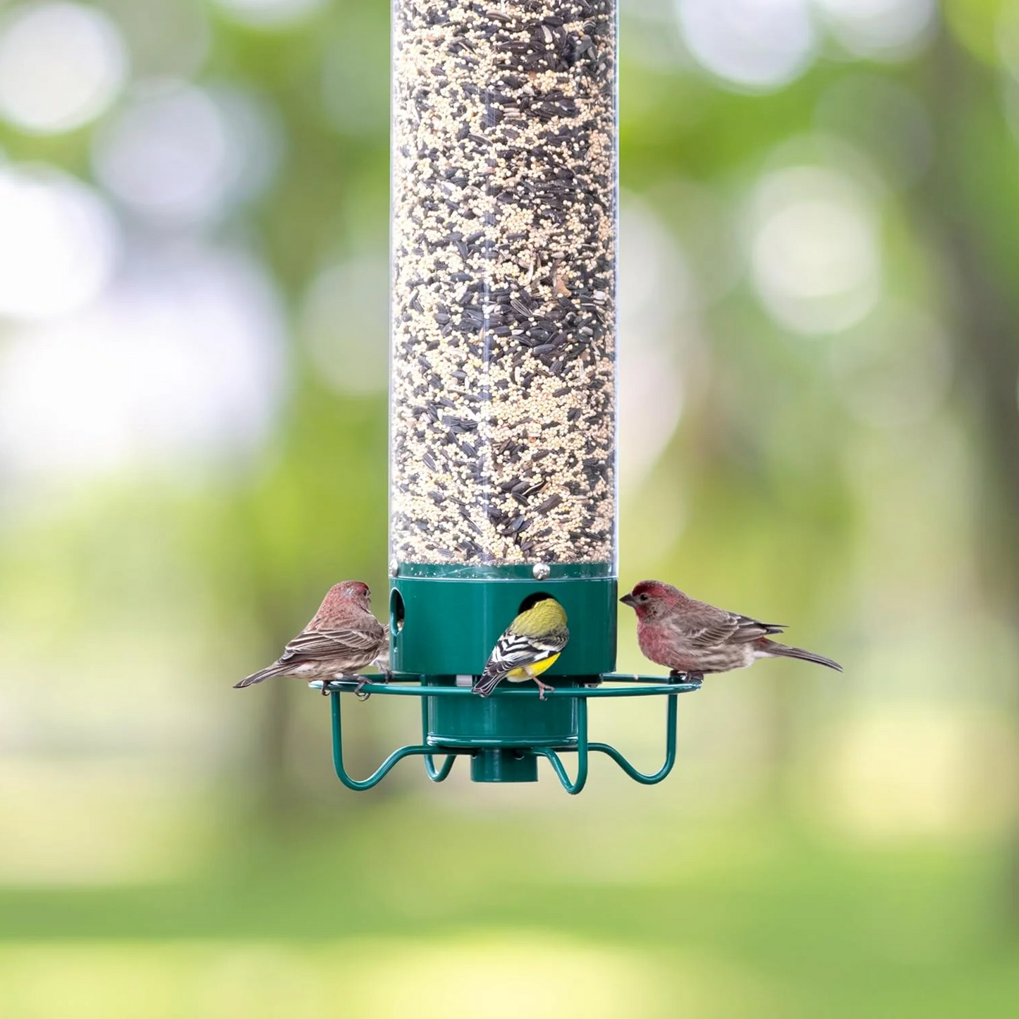 Strong Squirrel Proof Bird Feeder with Spinning Perch