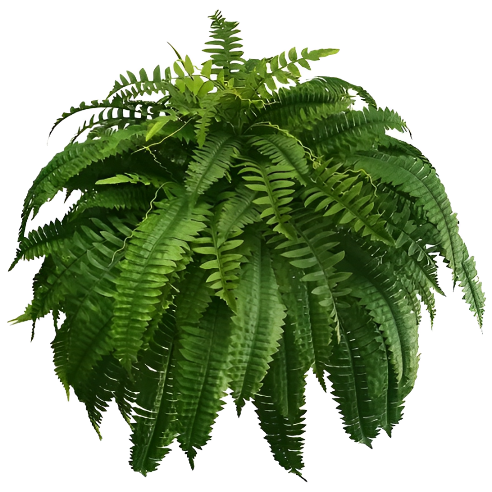 Durable Outdoor Artificial Fern Plant