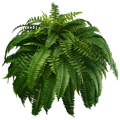 Durable Outdoor Artificial Fern Plant