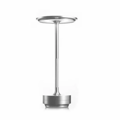 Portable LED Desk Light