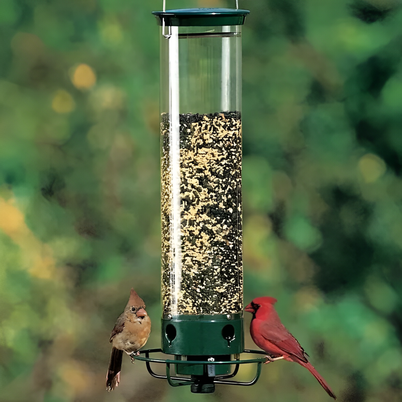 Wild Bird Friendly Feeder Cage - Halri