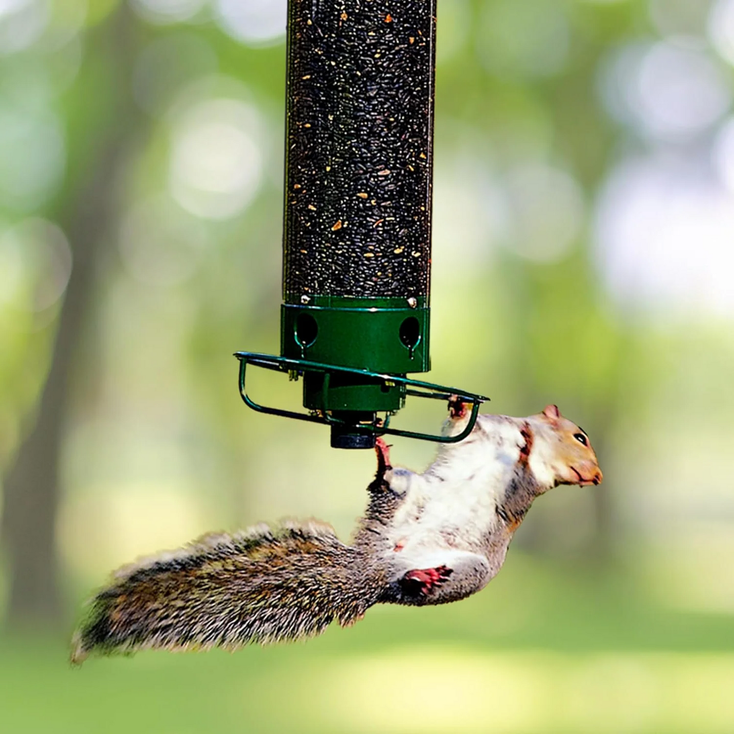 Bird Feeder Outdoor Hanging Squirrel Resistant Metal - Halri