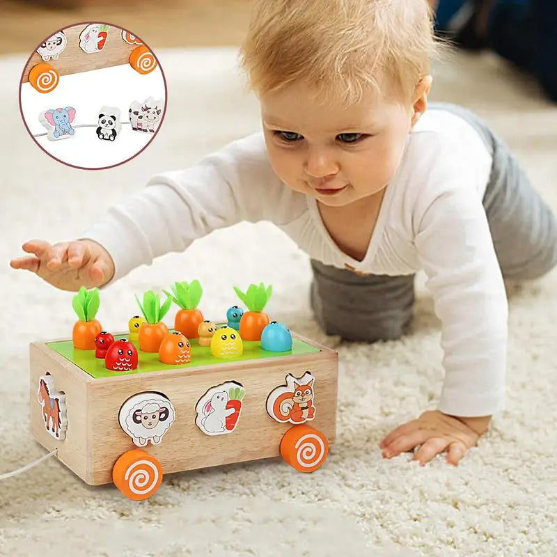 Educational Wooden Kids Learning Toy - Halri
