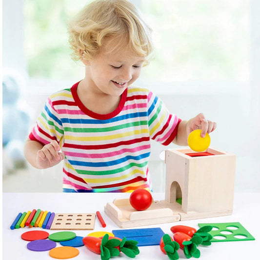 Wooden Educational Activity Box Set - Halri