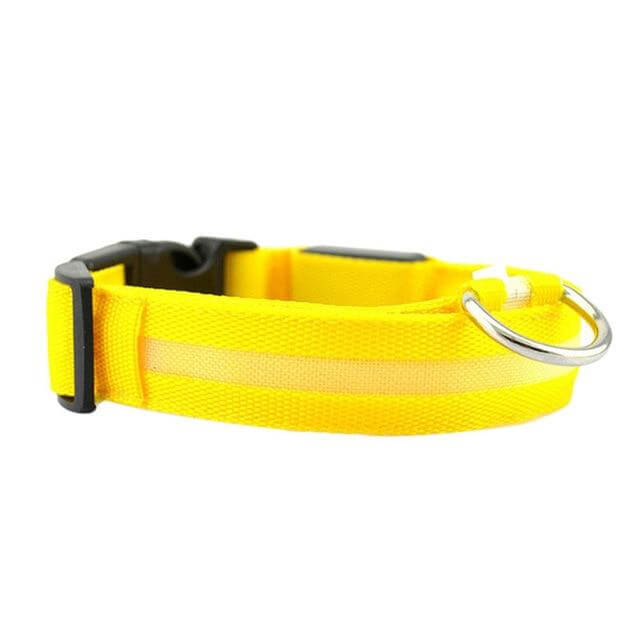 Bright LED Pet Collar for Nighttime Safety