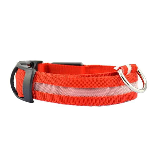 Bright LED Pet Collar for Nighttime Safety