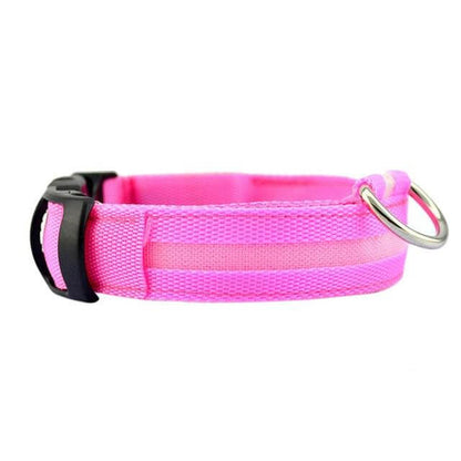 Bright LED Pet Collar for Nighttime Safety
