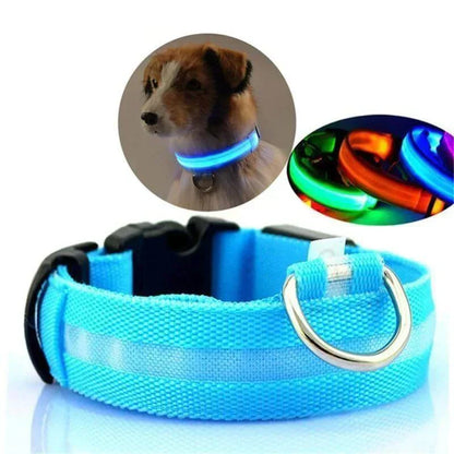 Bright LED Pet Collar for Nighttime Safety - Halri