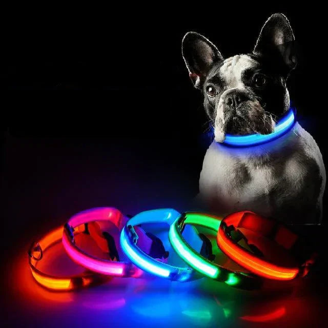 Bright LED Pet Collar for Nighttime Safety