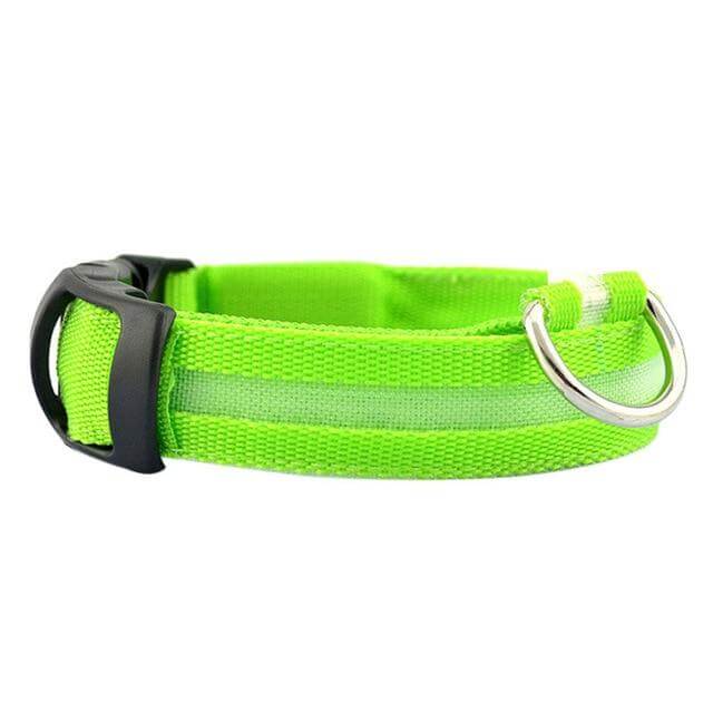Bright LED Pet Collar for Nighttime Safety