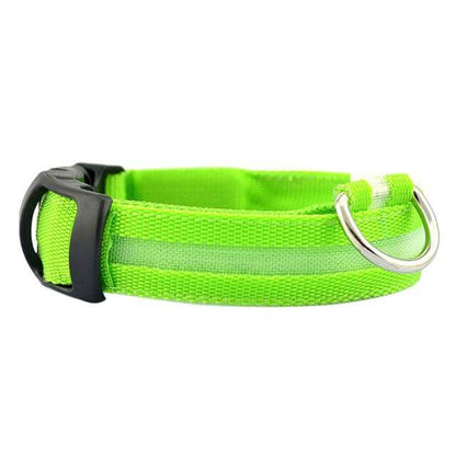 Bright LED Pet Collar for Nighttime Safety