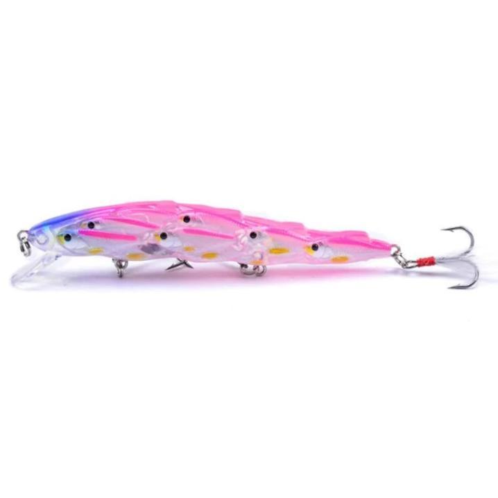 Dual Fish Fishing Lure