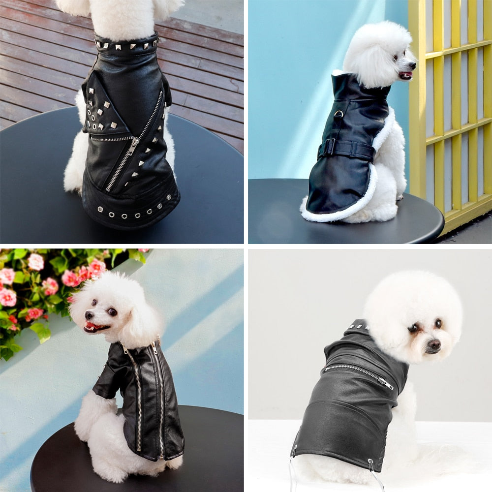 Stylish Chic Leather Dog Coat - Halri