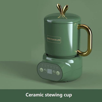 Compact Fast Ceramic Electric Kettle