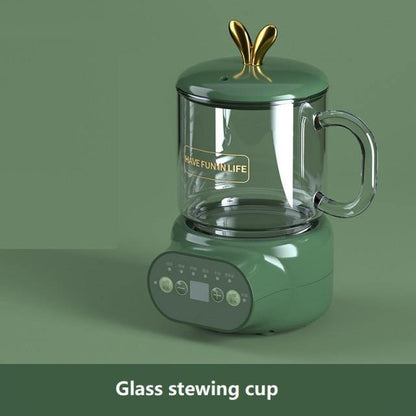 Compact Fast Ceramic Electric Kettle - Halri