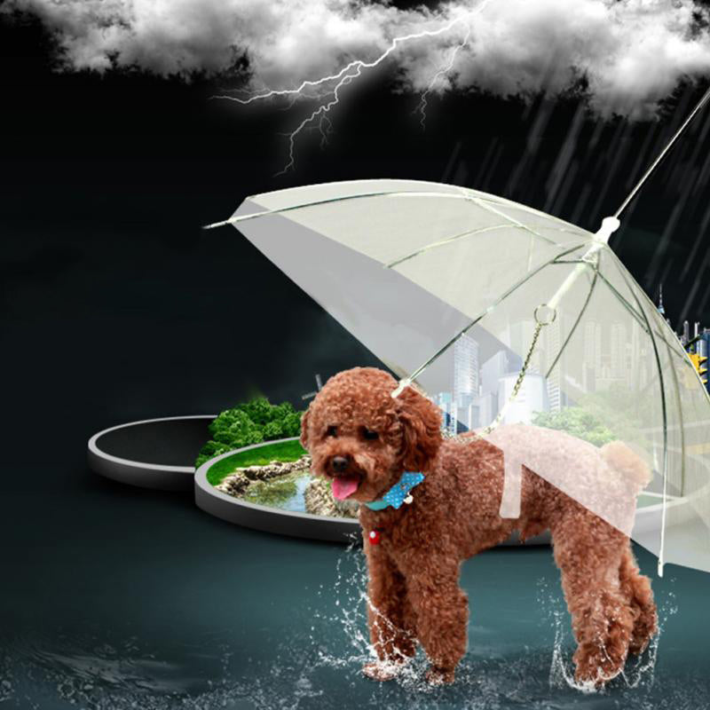 Fun Clear Pet Rain Umbrella - Halri