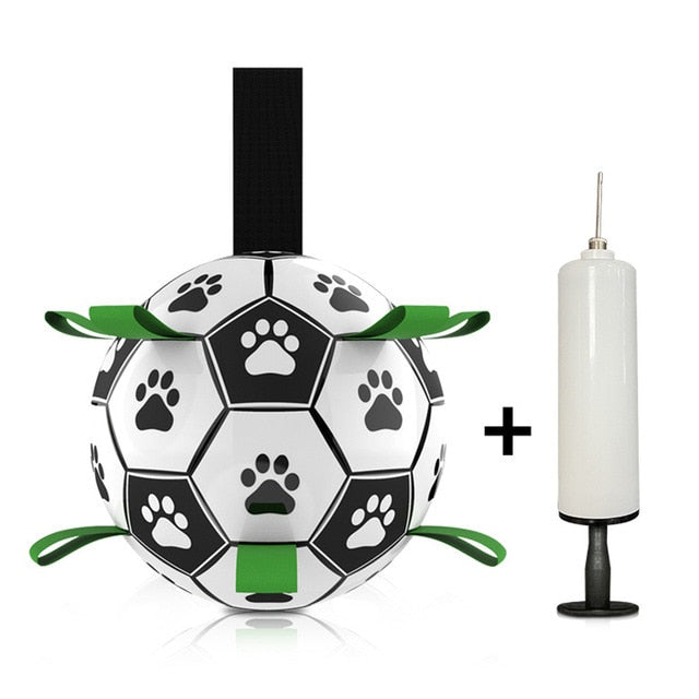 Fun Pet Training Bouncy Ball - Halri