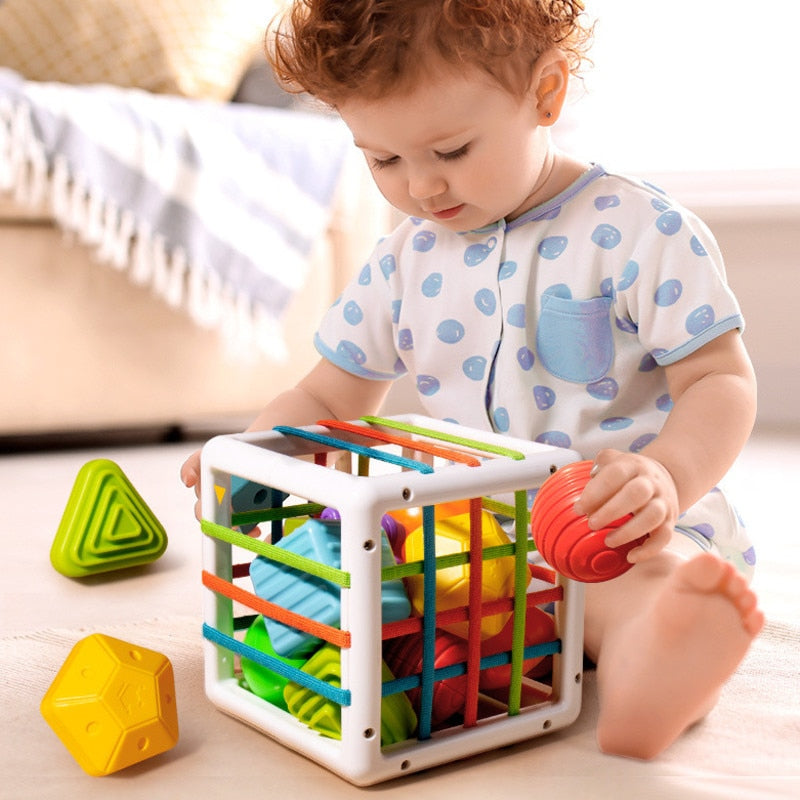 Fun Colorful Building Blocks