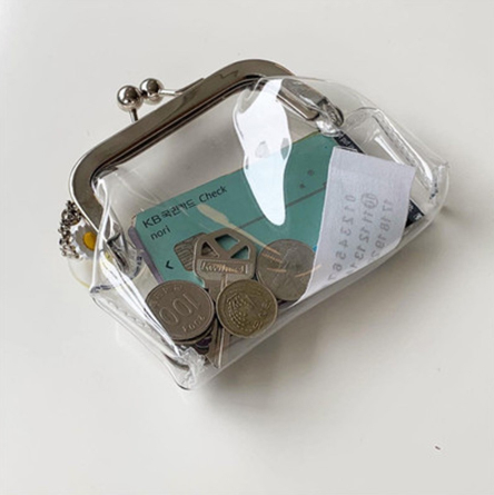 Clear Slim Metal Clutch Bag - Halri