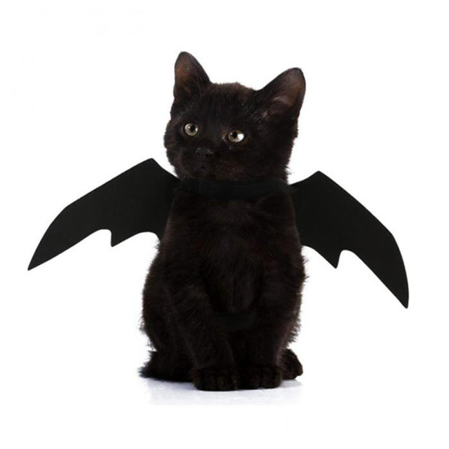 Fun Pet Bat Costume Wings - Halri