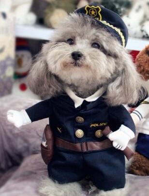 Fun Police Puppy Costume - Halri