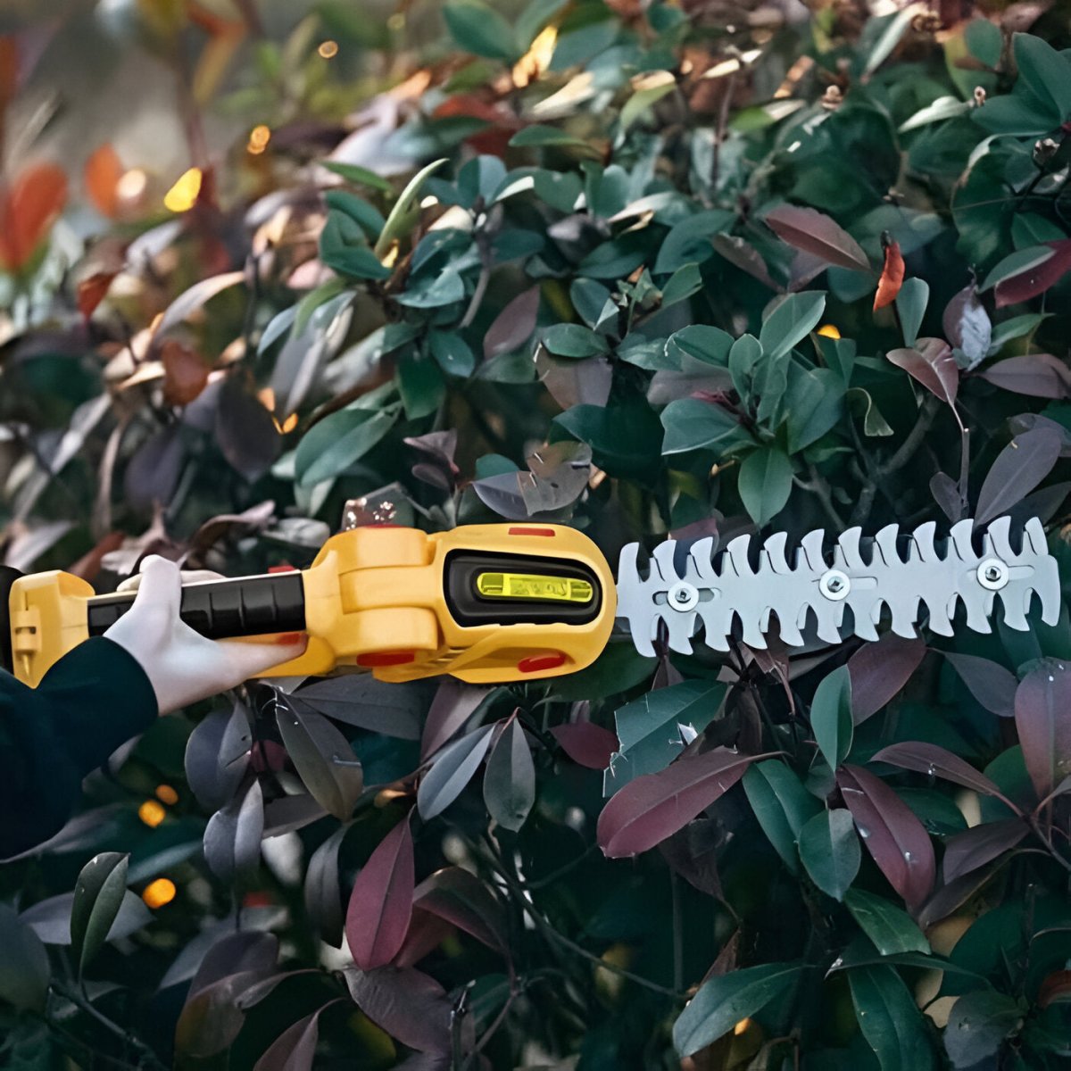 Easy Grip Cordless Hedge and Shrub Cutter - Halri