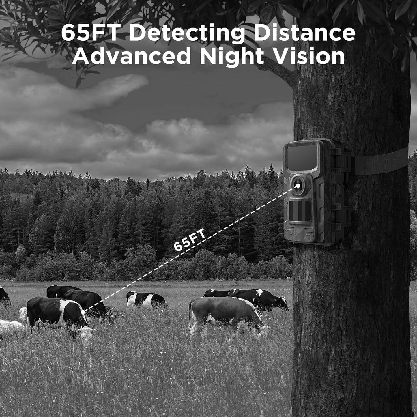 Motion Activated Outdoor Wildlife Trail Camera