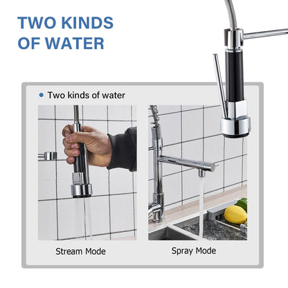Stainless Steel One Handle Kitchen Faucet With Sprayer