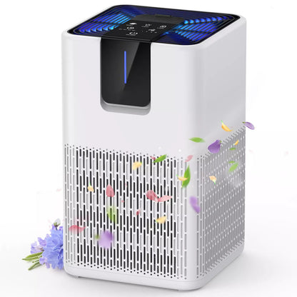 Powerful Whole House Air Cleaner - Halri