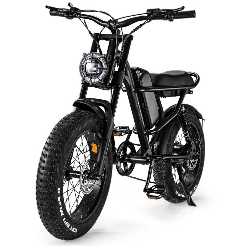 Powerful 1000W Electric Mountain Bike 20 Fat Tire Ebike