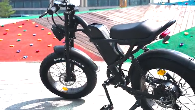 Powerful 1000W Electric Mountain Bike 20 Fat Tire Ebike