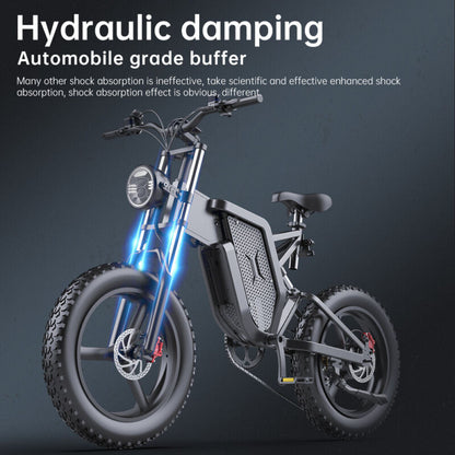 Powerful 20 2000w Electric Mountain Bike