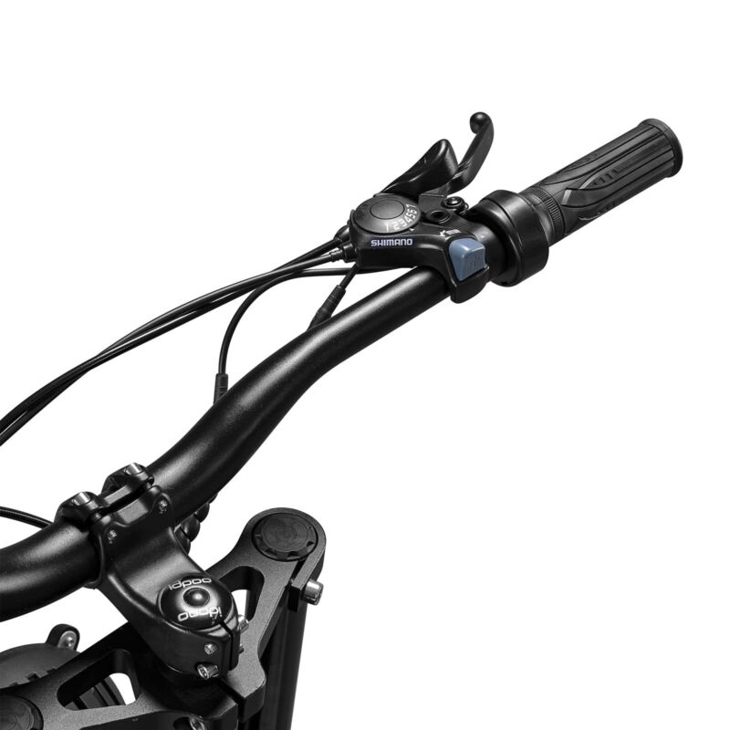 Powerful 1000W Electric Mountain Bike 20 Fat Tire Ebike