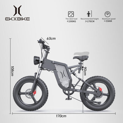 Powerful 20 2000w Electric Mountain Bike